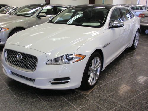 Xjl brand new contact steve link 847-846-9606