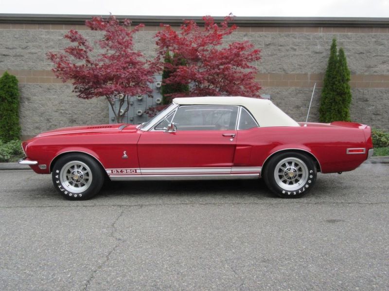 1968 ford mustang shelby cobra gt 350 convertible concours(1 of 404)