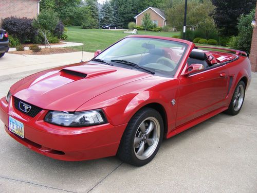 
			 1999 ford mustang convertible