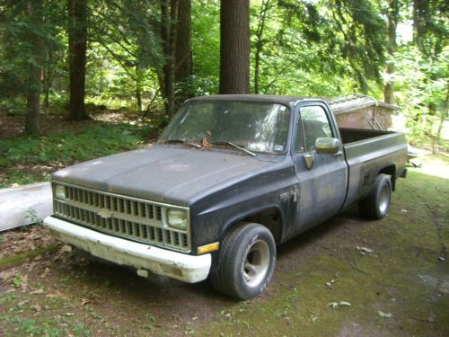 1981 chevy truck  new motor and trans