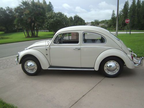 Gorgeous  1962 beetle - free delivery - this is one nice classic ! - looks new !