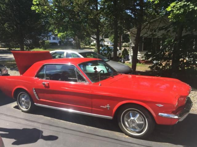 Ford: mustang pony