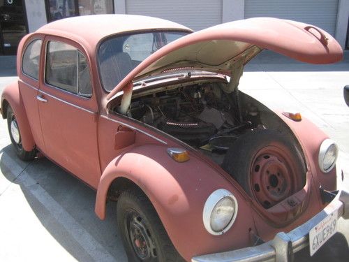 1969 volkswagen beetle, vw bug, beetle