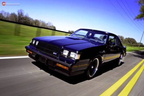 Buick grand national pro-touring gn turbo-t 3.8l hardtop restored fully built @@