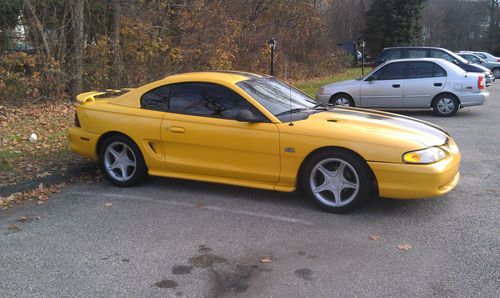 Mustang gt 5.0
