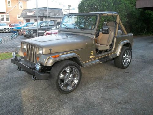Fun great looking jeep !!!!!