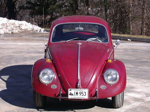 1965 vw beetle