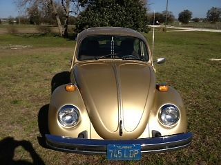 Volkswagen 1974 sun bug