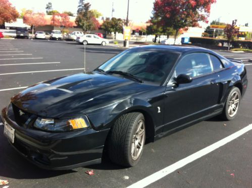 2003 supercharged ford mustang cobra svt 10th anniversary edition terminator