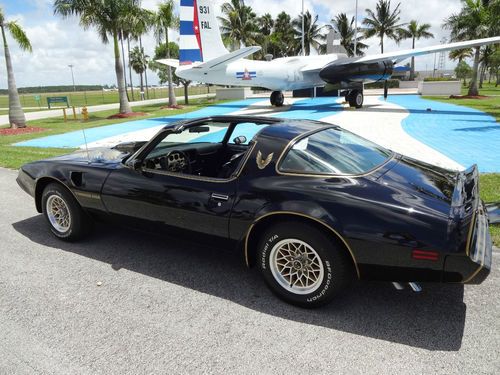 1979 trans am special edition y84 in mint condition