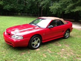 94 mustang cobra indy pace car