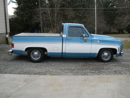 1979 chevy truck