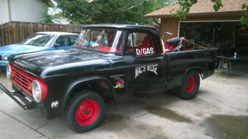 1966 dodge d100 gasser pickup