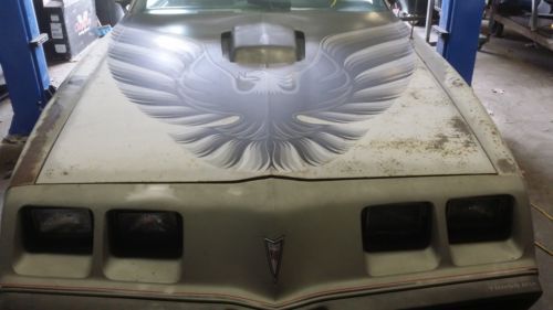 1979 trans am 10th anniversary, rust free. stored for 20+ years.