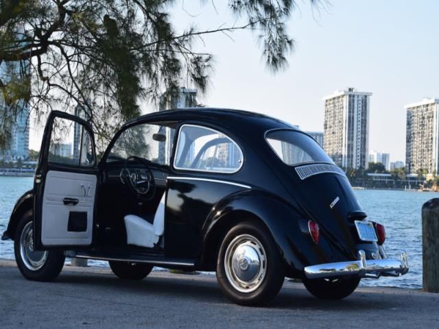 Volkswagen beetle - classic vw beetle 1300