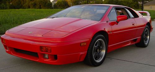 Pampered, extremely rare (1 of 62), unmolested esprit