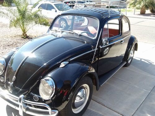 1959 vw bug