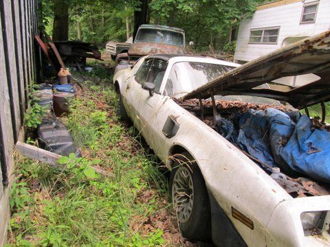 1981 trans am project barn find