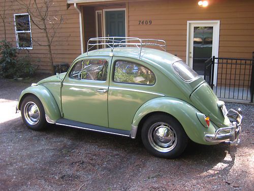 1964 vw beetle/bug, green