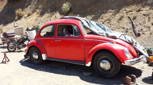 Classic 1969 voltswagon beetle bug
