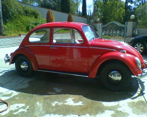 1965 vw  volkswgen beetle bug classic / model sed117