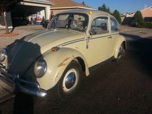 1965 volkswagen classic beetle