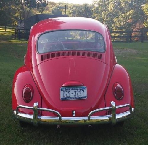 1965 volkswagon beetle classic