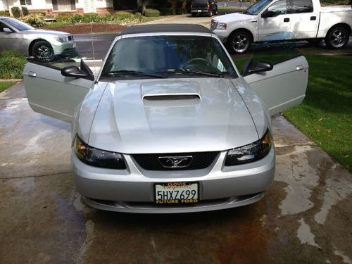 2004 ford mustang